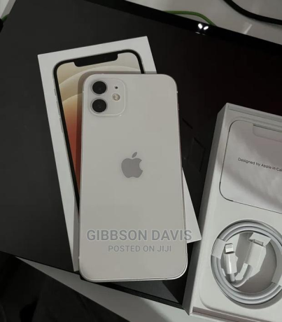 apple-iphone-12-256-gb-silver-big-1